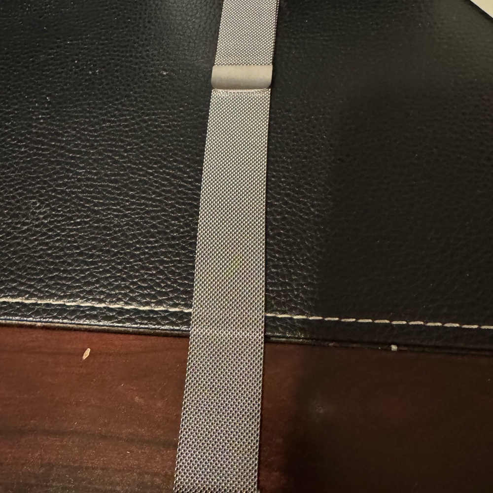 Silver Mesh Women's Watch Band